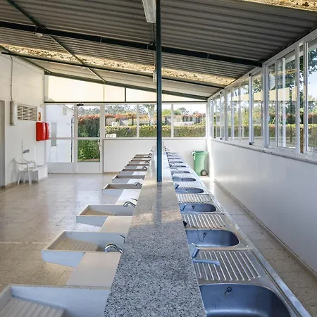 D Pontevedra